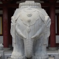IMG_8166.JPG